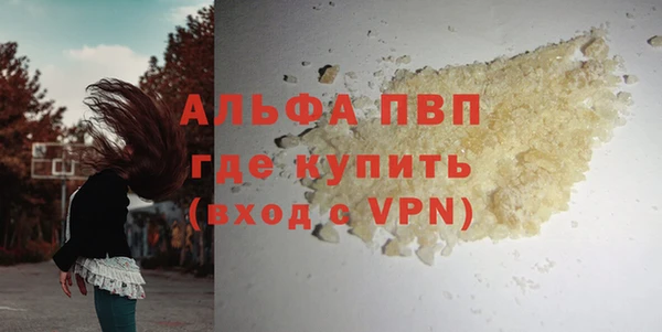 соль ск Белокуриха