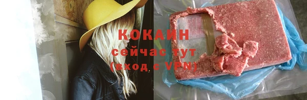 соль ск Белокуриха