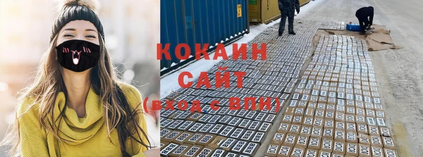 сатива Сосновый Бор
