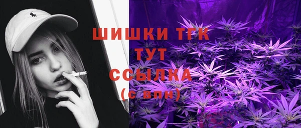 соль ск Белокуриха