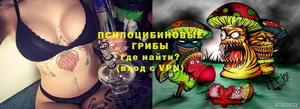 соль ск Белокуриха
