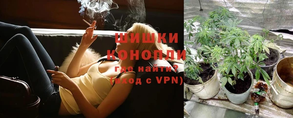 мяу мяу мука Беломорск